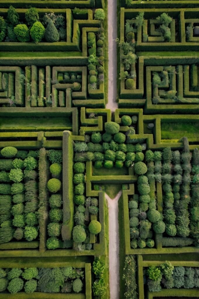 Aerial labyrinth captures habit loops in quotes about mistakes